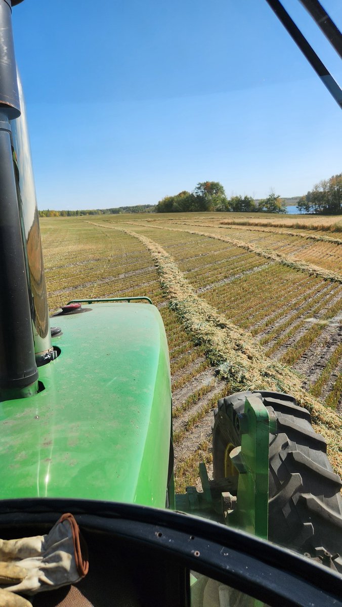 Silage 2023 rolls on