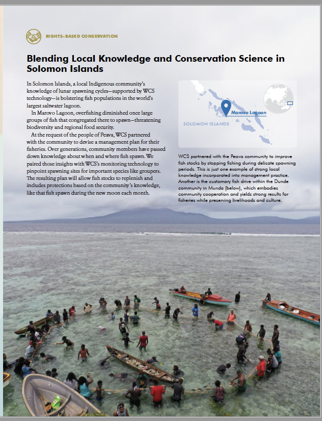 WCSSolomonIs's tweet photo. In Solomon Islands, a local #Indigenous community’s knowledge of #lunarspawning cycles—supported by WCS technology—is bolstering #fish populations in the world’s largest saltwater lagoon. https://t.co/ATaWq1z4FU