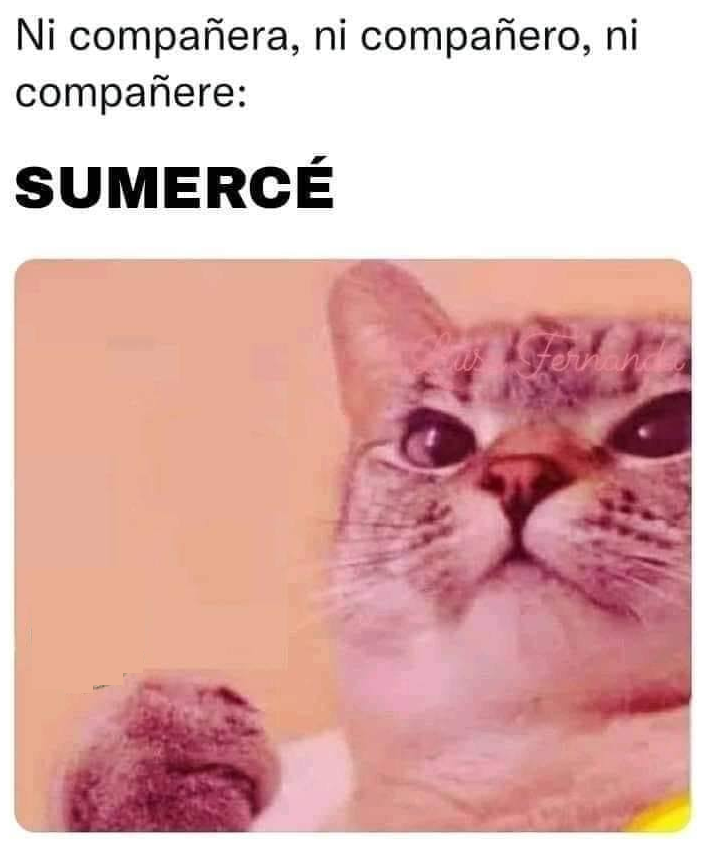 Memes Universidad Nacional tweet media