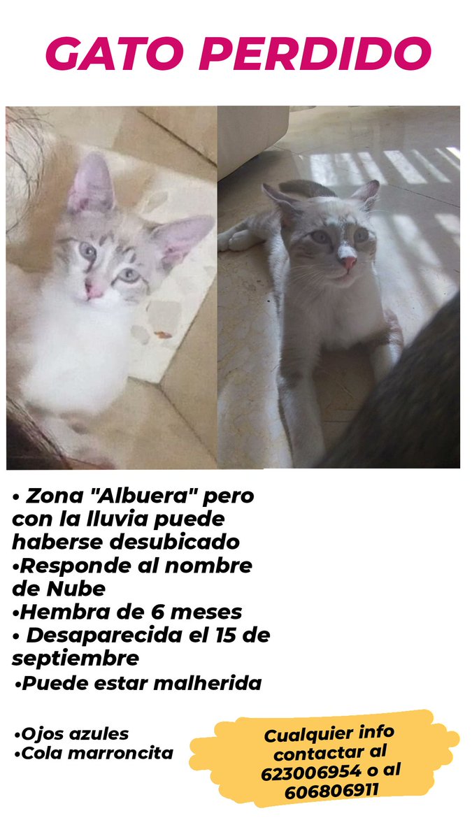 cristinamcna's tweet image. Se agradece difusión🙇‍♀️