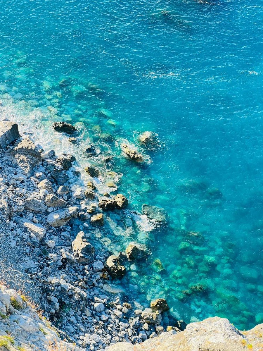 LOBOSCAP's tweet image. 