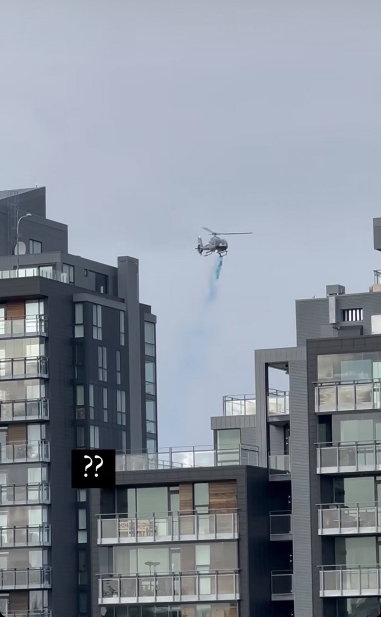 Á meðan flestir rembast við að flokka, nota bílinn minna, borða minna kjöt etc. heldur Birgitta Líf gender reveal með þyrlu. Eðlilega 🥲