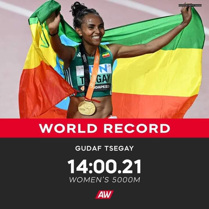 World Record!
Congratulations!