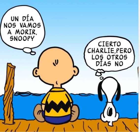 Edna Oaks ( All you need is love) tweet media