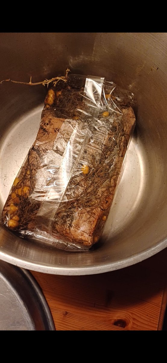 ImmerMüde tweet media