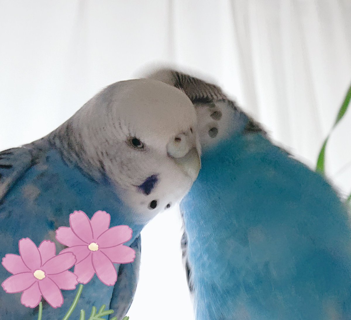 ノンママ tweet media