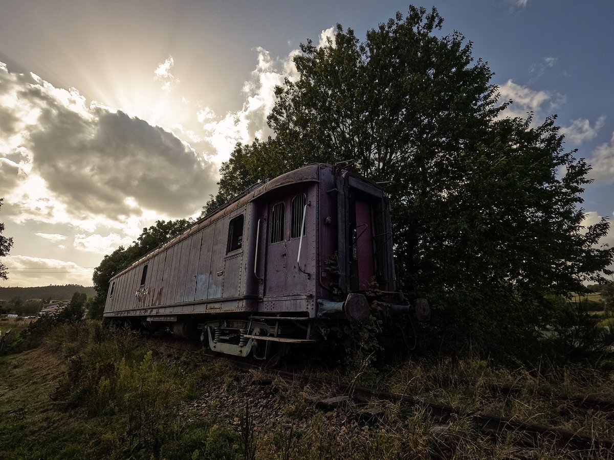 ello vidéo tweet media