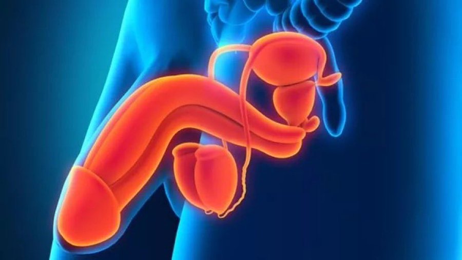 Crecimiento | Mentalidad y IA tweet media