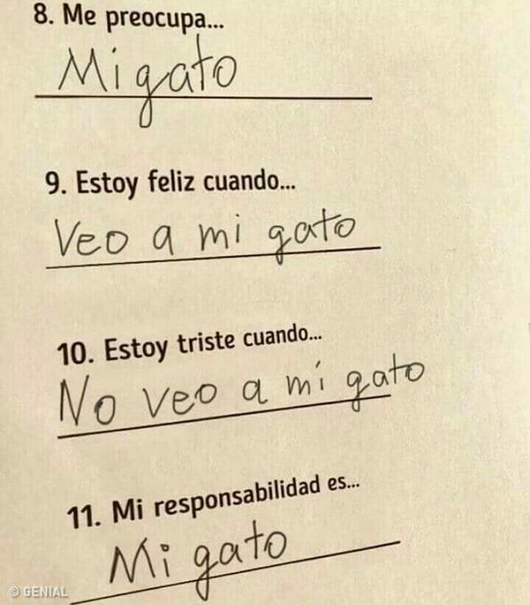 MI GATO