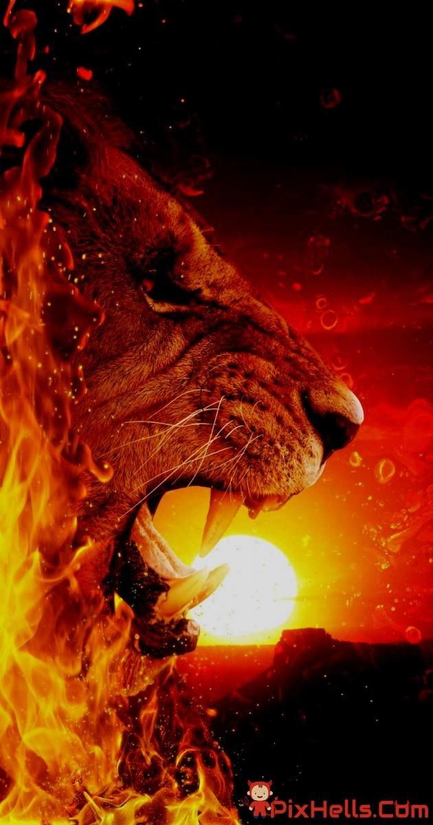 Rashicayı ve Gedson aldım çalım attım diyenler, sadece kendini avuttu. 
Beşiktaş kadrosu şampiyonluk için yetersiz. Galatasaray Fenerbahçe yarışır bu gece belli oldu. 
💛❤️

Rashicayı Gedson Emre Kocadağ Chamberlain YÖNETİM İSTİFA Bartuğ Cengiz Ünder Bakasetas