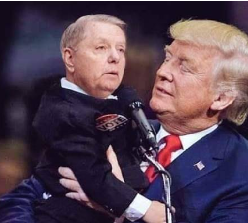 smc429's tweet photo. #InsideHuntersLaptop 
Rare photos of 45 and his puppy https://t.co/mnW9vp4LbP
