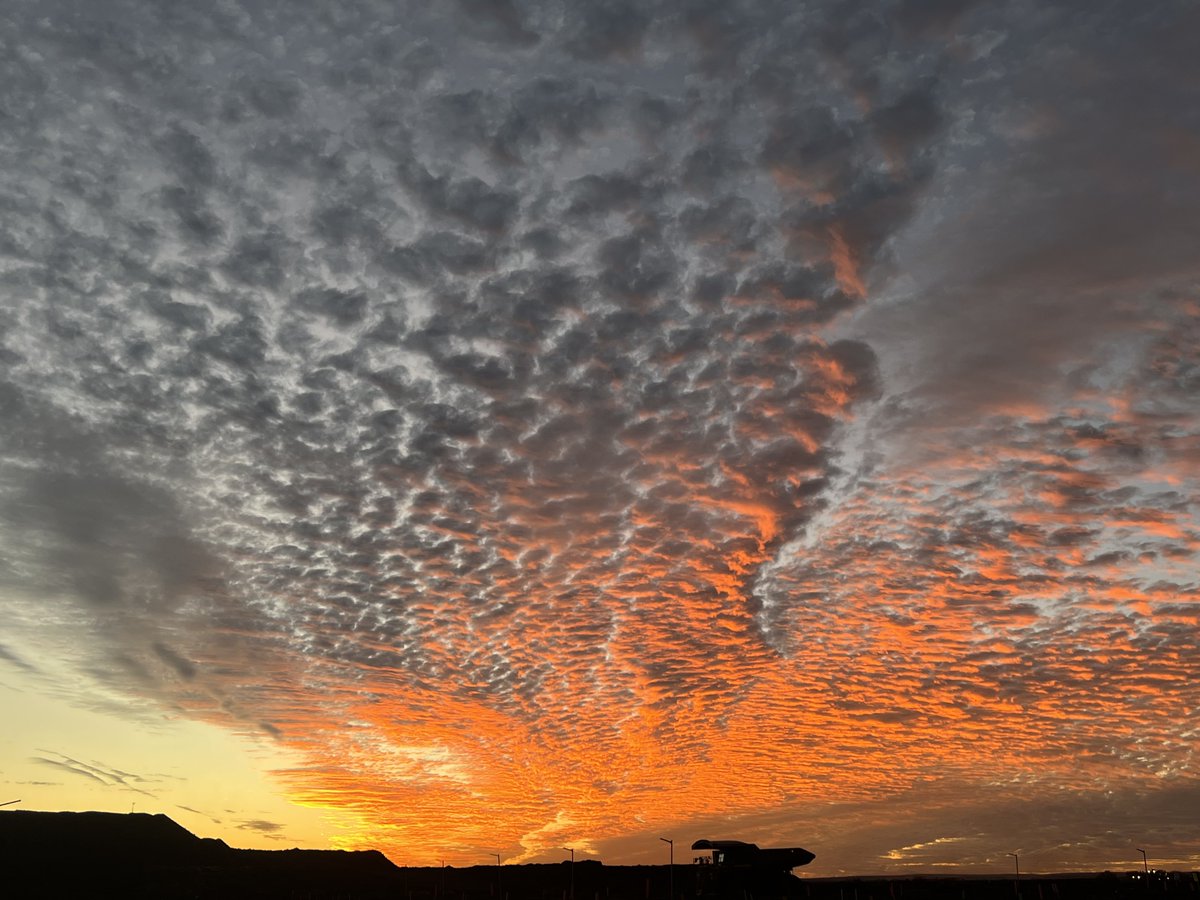 Monday’s ain’t so bad… cheer up you mob🙏🌤️✨💫

#justanotherdayinwa