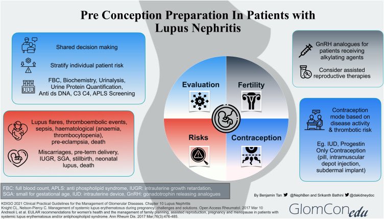 Approach to Pregnancy in Lupus Nephritis 🤰🏽🦋

Benjamin Tan
Paolo Nikolai So
Anoushka Krishnan
Sol Carriazo
Josélyn Reyes Bahamonde
Tanuj Moses Lamech
Mohamed Hassanein
Edgar Lerma

And Nasim Wiegley
On behalf of theGlomCon Editorial Team

kidneymedicinejournal.org/article/S2590-…