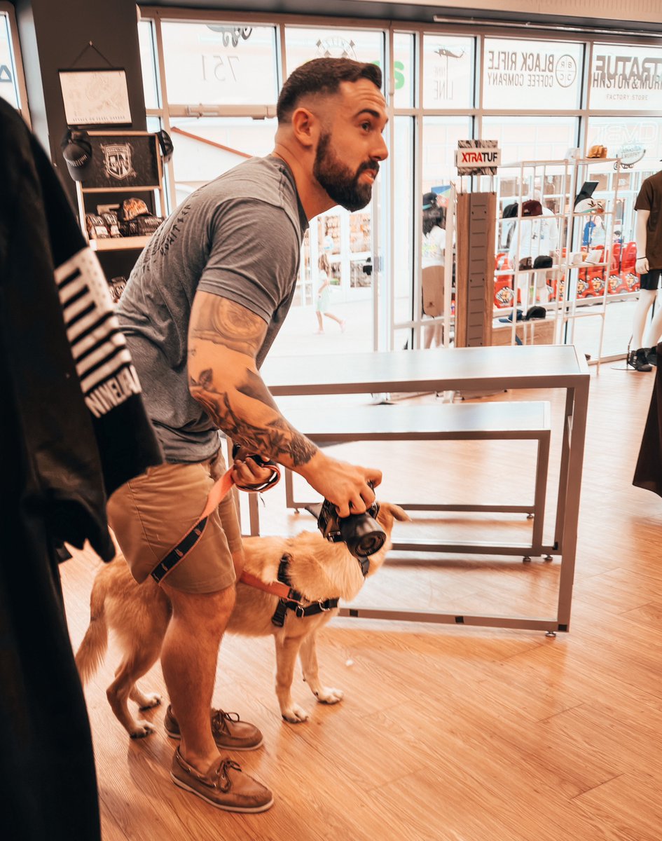 Work &amp; Dogs