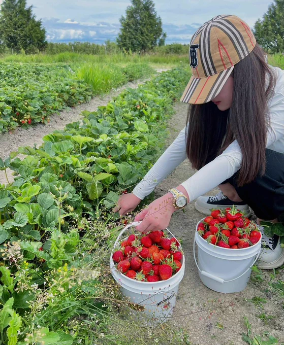 trybendsky's tweet image. 🤠