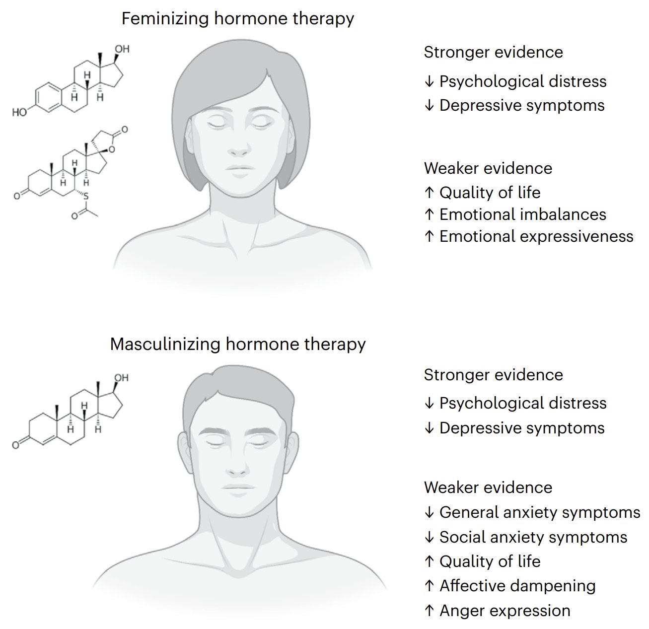 hormones feminization 
