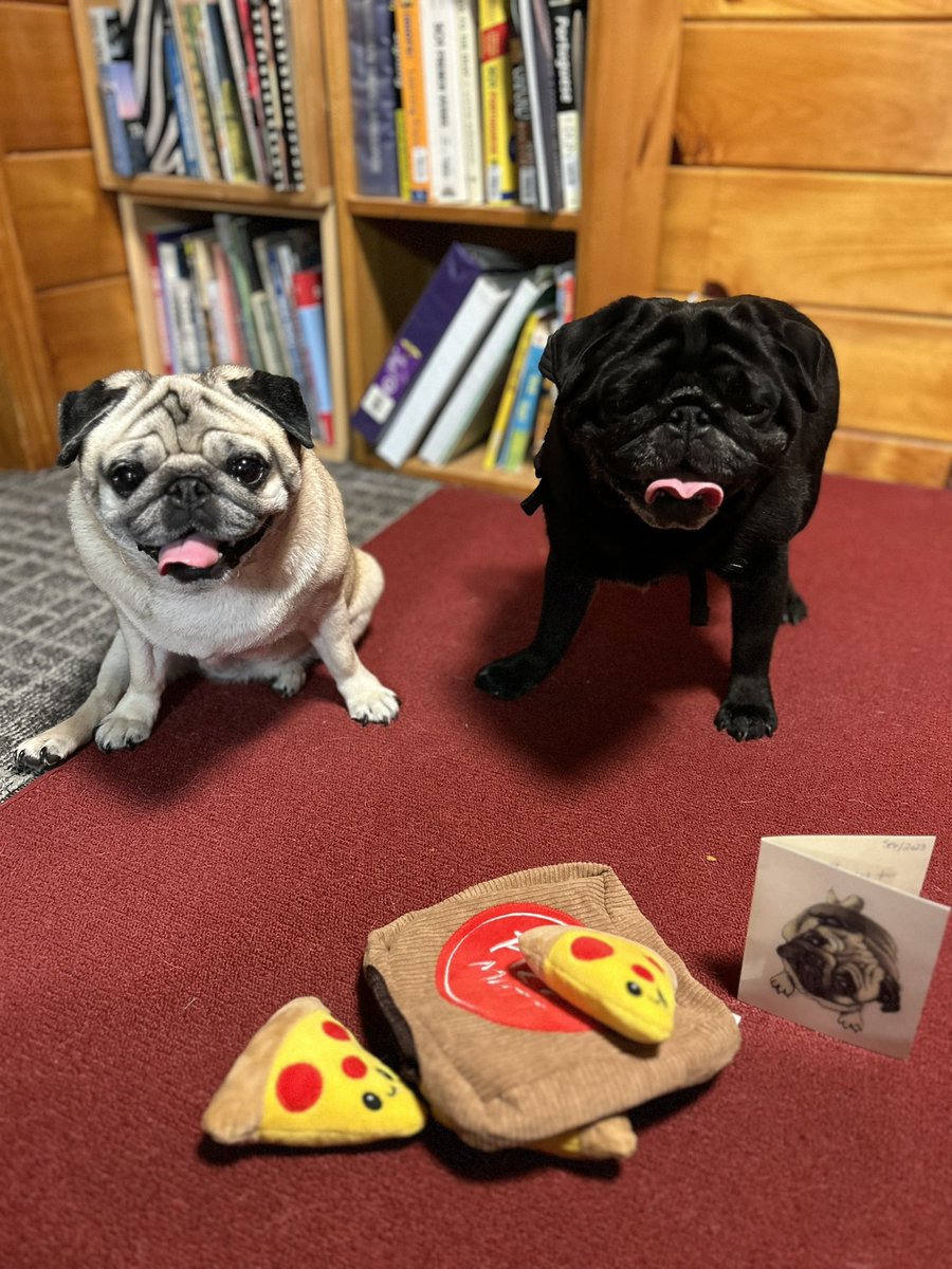 921twinsie's tweet photo. @AnjouPug We are learning so much from your field trip ❤️🙏 @AnjouPug Thank you #TravelswithAnjou #puglife #pugtalk #Arizona #Idigenous #History https://t.co/lxpHvKt1uT
