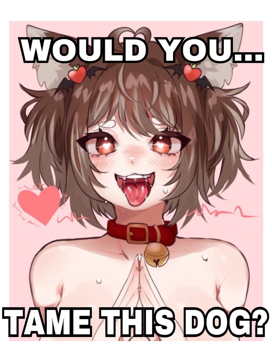 Jiya 🐕💗 tweet media