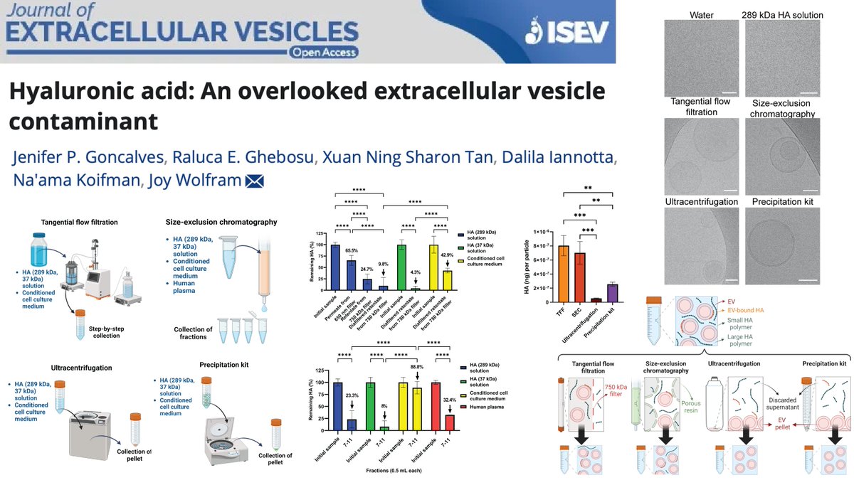 Are polysaccharides contaminants in #ExtracellularVesicle samples? Check out our latest publication <a href="/ISEV_Journals/">ISEV-Journals</a> @IsevComms <a href="/IsevOrg/">ISEV</a> Raluca Ghebosu <a href="/DrJeGoncalves/">Jenifer Goncalves</a> <a href="/DalilaIannotta/">Dalila Iannotta, PhD</a> Sharon Tan, Na'ama Koifman dx.doi.org/10.1002/jev2.1…