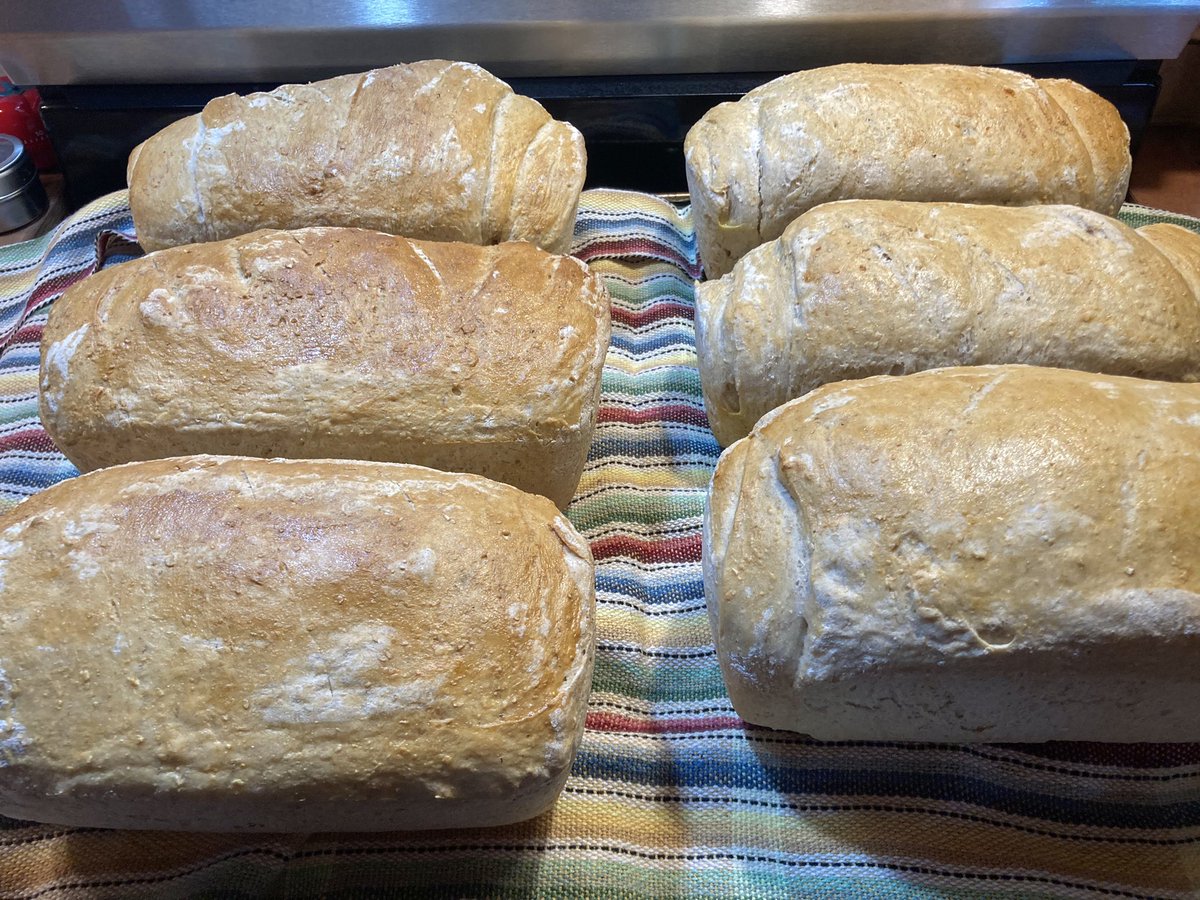 s_lvesque's tweet image. Première cuite automnale de pain d’habitant. Blé, avoine et son. 🍞 🍞 #homebread