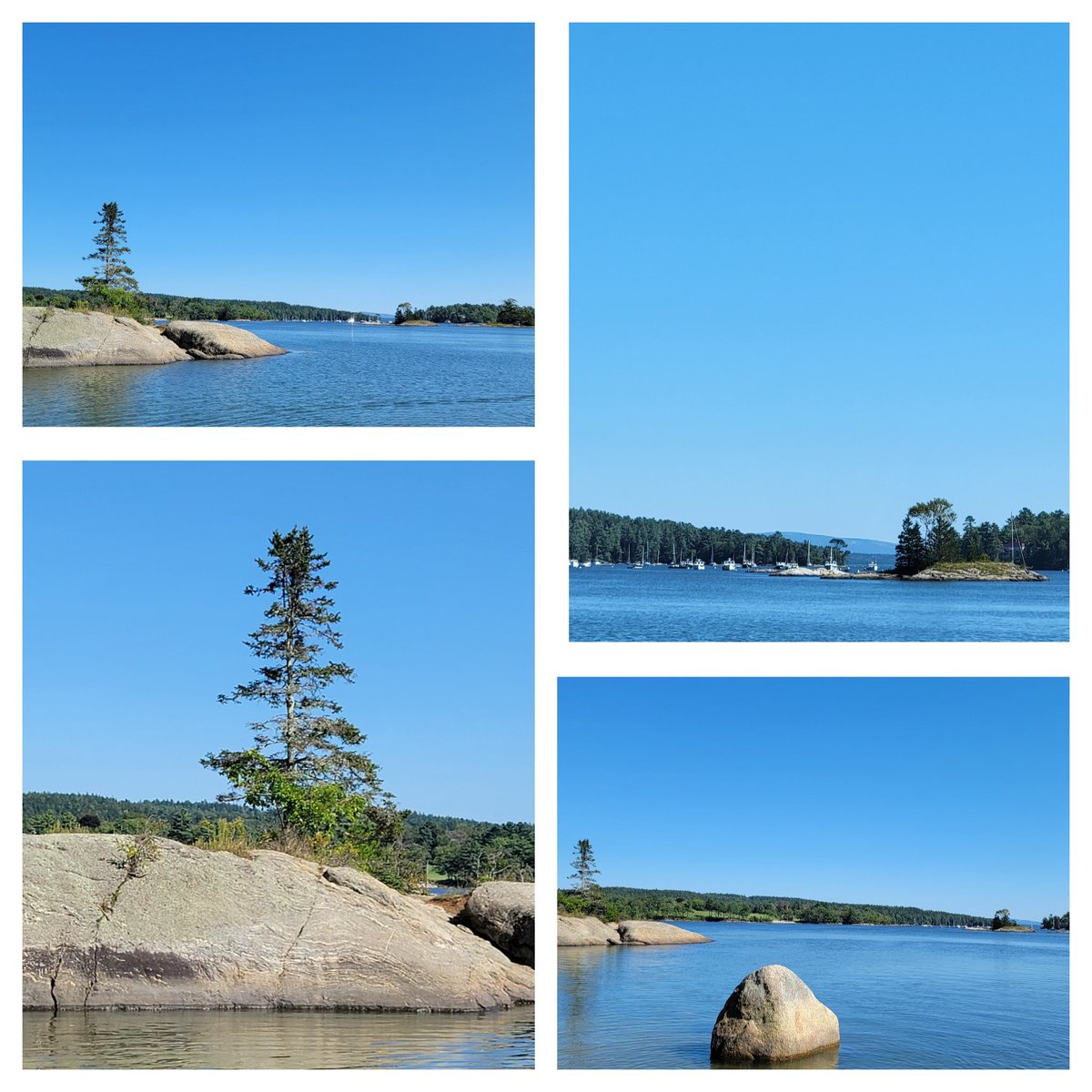GSn04401's tweet photo. Today's #adventureday took us to Blue Hill to enjoy lunch at the park and ocean fetch with the cattle dogs then on to Penny's Nature Preserve for a hike. It was a BEAUTIFUL day to #getoutside #bluehill #pennyslegacy #mainethings https://t.co/l5gpMckUl2