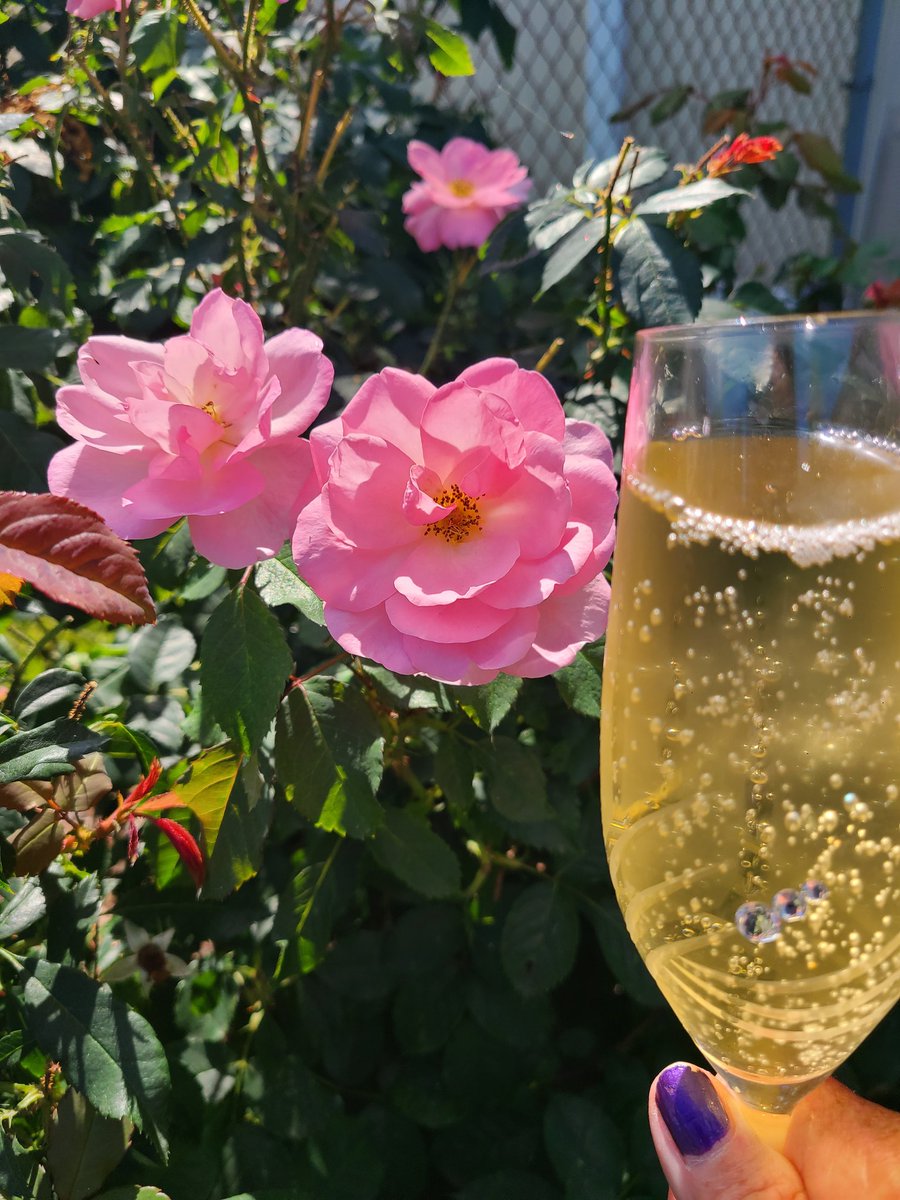 <a href="/suziday123/">Suzi Day</a> <a href="/DKrappe/">Donate Krappe 🦒🐦</a> <a href="/rr_pirate/">Thomas Hughes</a> <a href="/awlasky/">Ann Wilmer-Lasky, Author ☮️ ❤️🐦</a> <a href="/SashaEats/">Sasha</a> <a href="/NewDocSavage/">Doc Savage</a> <a href="/Kerryloves2trvl/">Kerry</a> <a href="/simplysallyh/">Sally Hanssen</a> <a href="/joukesp/">The WineSmacker</a> <a href="/SteveHammActor/">Steven P Hamm</a> <a href="/joneill55/">Jim O'Neill</a> <a href="/JRyan832/">Jason</a> <a href="/Cbp8Cindy/">Cindy QB Pearl 👠&🐇</a> <a href="/SatOnMeeting/">Aymee ☕️💖😊</a> <a href="/SideHustleWino/">Cathie | Side Hustle Wino</a> How's your evening Suzi?