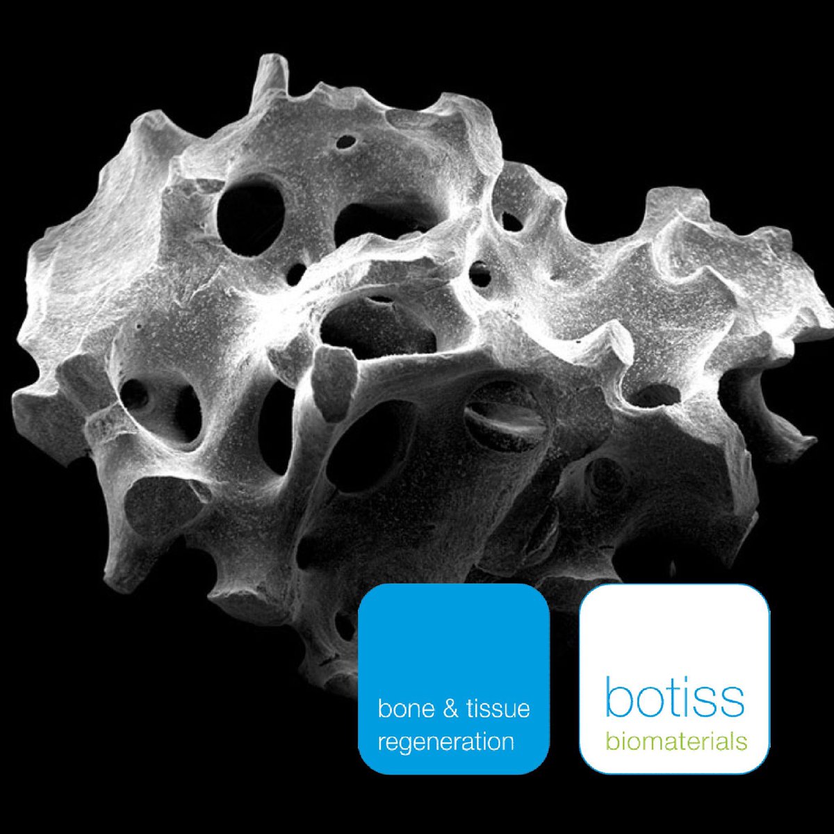 gantumurdds's tweet image. Хиймэл яс #botiss