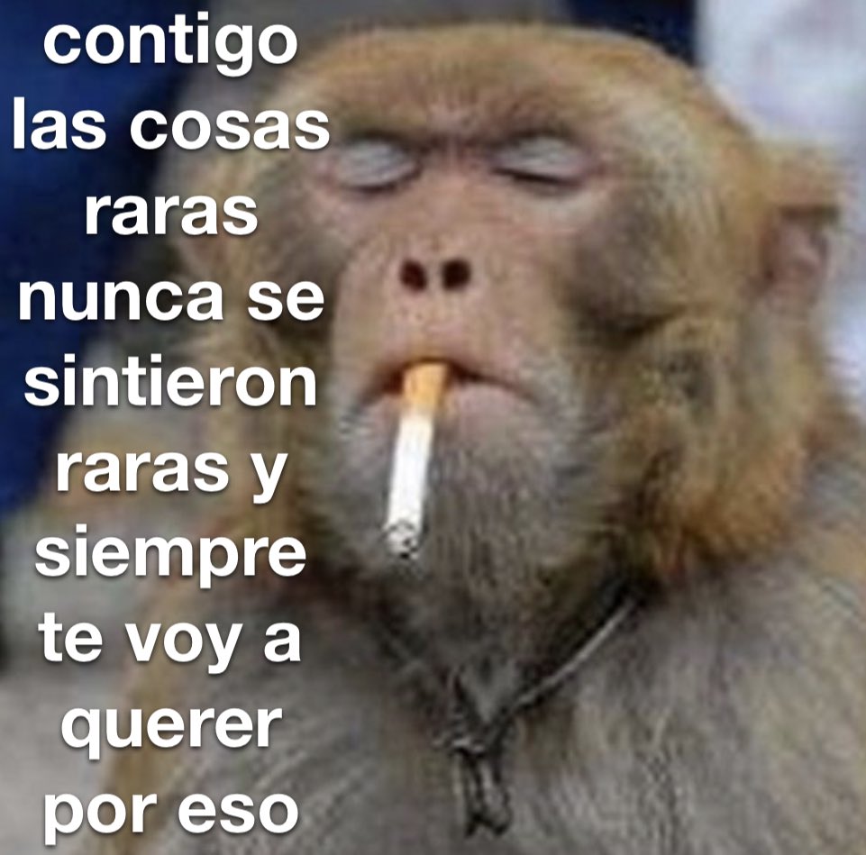 conoloracigarro's tweet photo. contigo https://t.co/MlNSKVVBKL