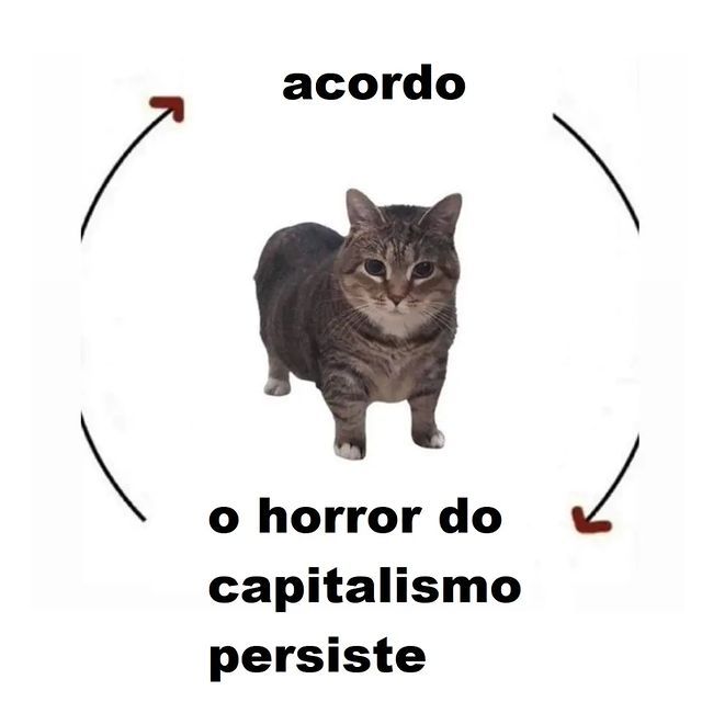 comunadememes's tweet photo. Dia. https://t.co/1PQVKYdjlr