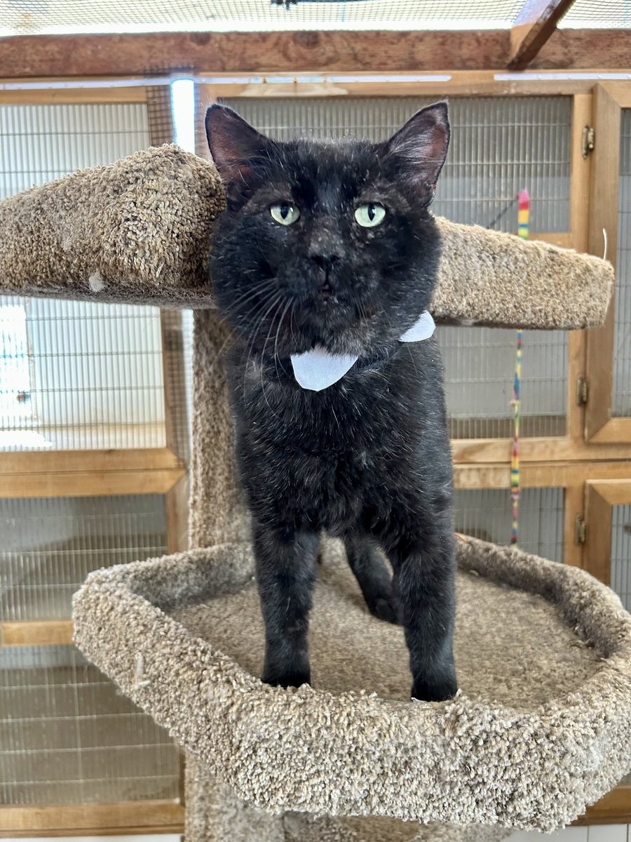 Paul dressed up in his Sunday vest today but unfortunately did not find his forever family.
