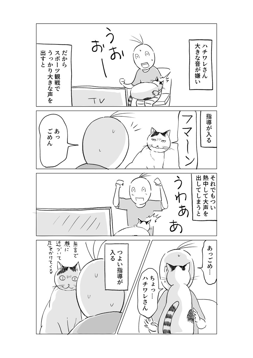 音に厳しい猫 