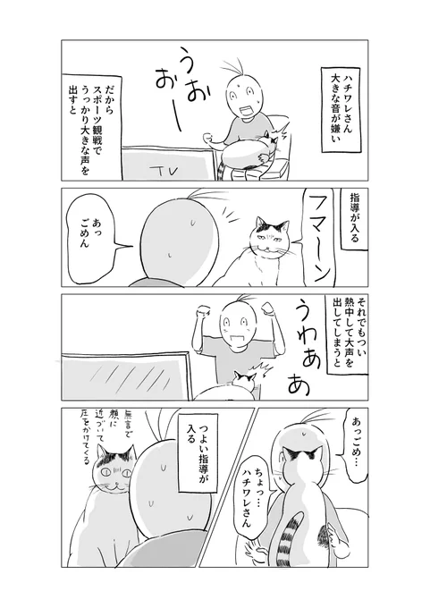 音に厳しい猫 