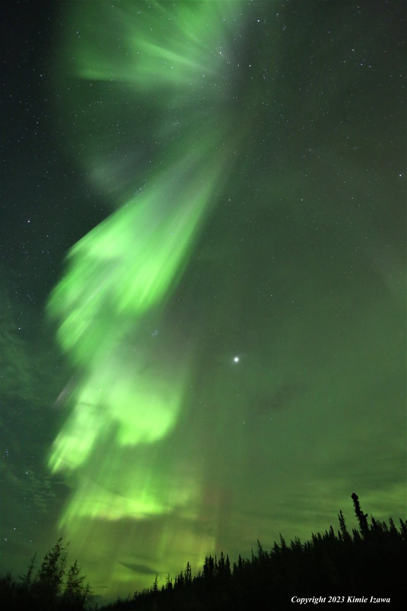 audrey19740719's tweet photo. #Aurora from #yellowknife Sep 18, 2023 Sun 2:00-3:30am +5℃ (feels like +4℃) 粘り勝ちの成果！
#ingrahamtrail #NWT #ExploreNWT #SpectacularNWT #northwestterritory #northernlight #auroraborealis
#イエローナイフ #ノースウェストテリトリー
#オーロラ #オーロラ姫 #秋オーロラ https://t.co/f0dnRPAxGy