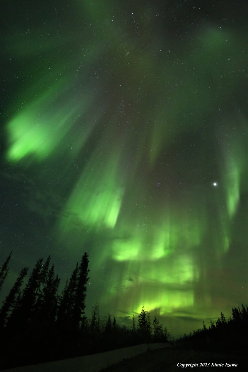 audrey19740719's tweet photo. #Aurora from #yellowknife Sep 18, 2023 Sun 2:00-3:30am +5℃ (feels like +4℃) 粘り勝ちの成果！
#ingrahamtrail #NWT #ExploreNWT #SpectacularNWT #northwestterritory #northernlight #auroraborealis
#イエローナイフ #ノースウェストテリトリー
#オーロラ #オーロラ姫 #秋オーロラ https://t.co/f0dnRPAxGy