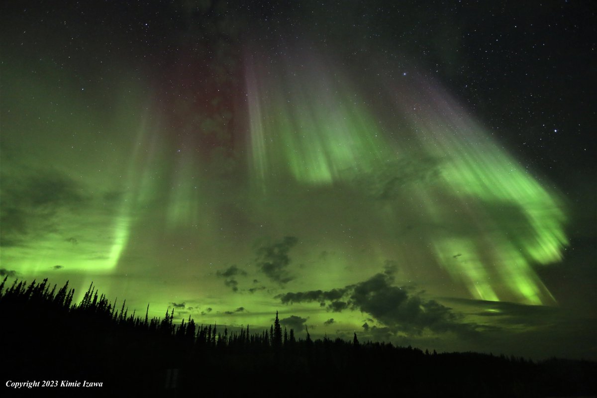 audrey19740719's tweet photo. #Aurora from #yellowknife Sep 18, 2023 Sun 2:00-3:30am +5℃ (feels like +4℃) 粘り勝ちの成果！
#ingrahamtrail #NWT #ExploreNWT #SpectacularNWT #northwestterritory #northernlight #auroraborealis
#イエローナイフ #ノースウェストテリトリー
#オーロラ #オーロラ姫 #秋オーロラ https://t.co/W2Ding6PUb