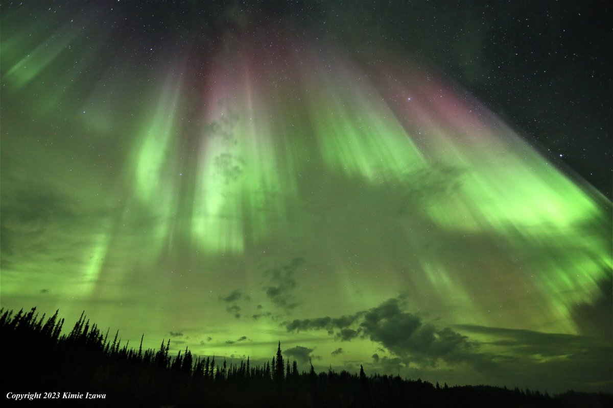 audrey19740719's tweet photo. #Aurora from #yellowknife Sep 18, 2023 Sun 2:00-3:30am +5℃ (feels like +4℃) 粘り勝ちの成果！
#ingrahamtrail #NWT #ExploreNWT #SpectacularNWT #northwestterritory #northernlight #auroraborealis
#イエローナイフ #ノースウェストテリトリー
#オーロラ #オーロラ姫 #秋オーロラ https://t.co/W2Ding6PUb