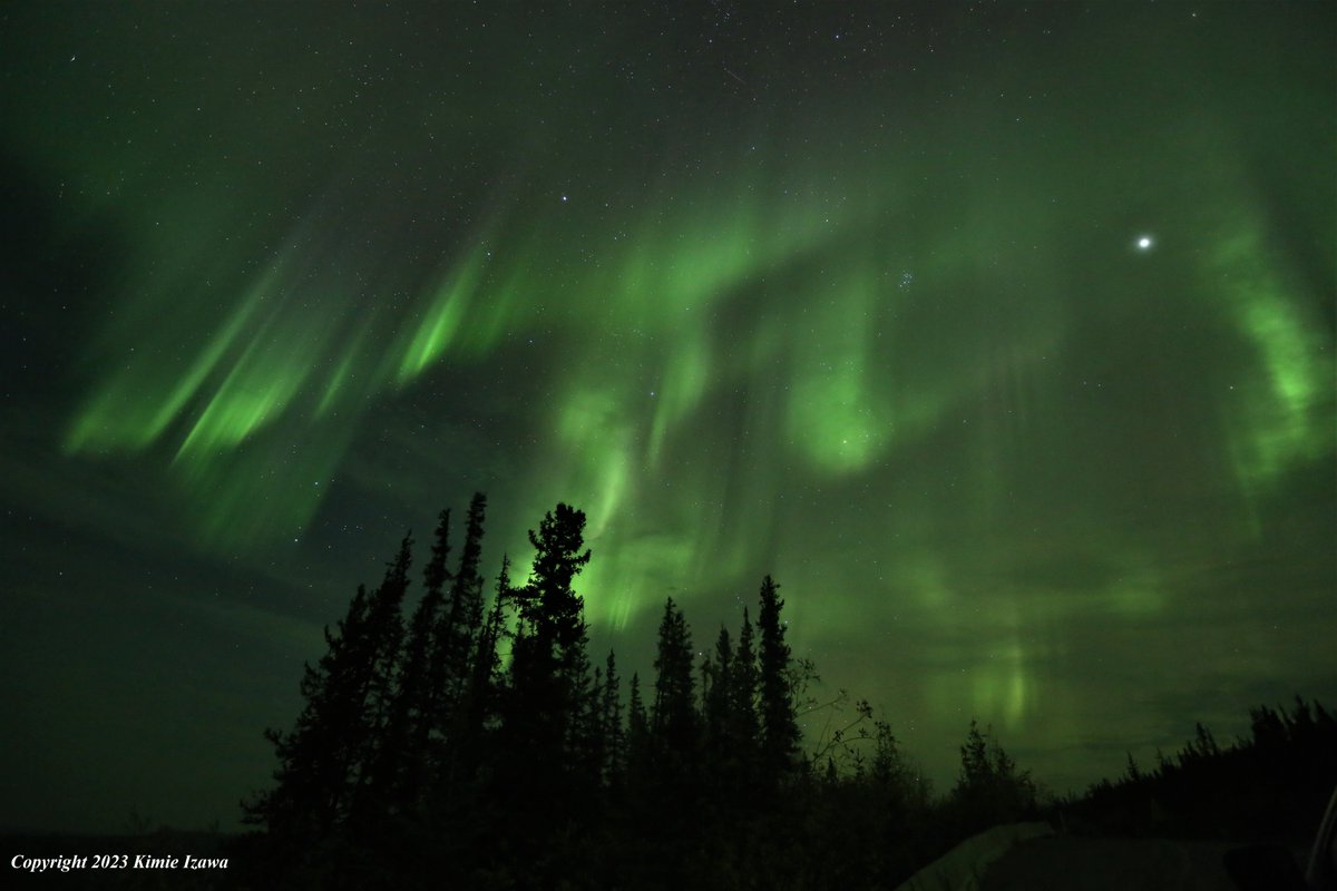 audrey19740719's tweet photo. #Aurora from #yellowknife Sep 18, 2023 Sun 2:00-3:30am +5℃ (feels like +4℃) 
白っぽいのは煙のせいです。
#ingrahamtrail #NWT #ExploreNWT #SpectacularNWT #northwestterritory #northernlight #auroraborealis
#イエローナイフ #ノースウェストテリトリー
#オーロラ #オーロラ姫 #秋オーロラ https://t.co/RLOB9ndxlO