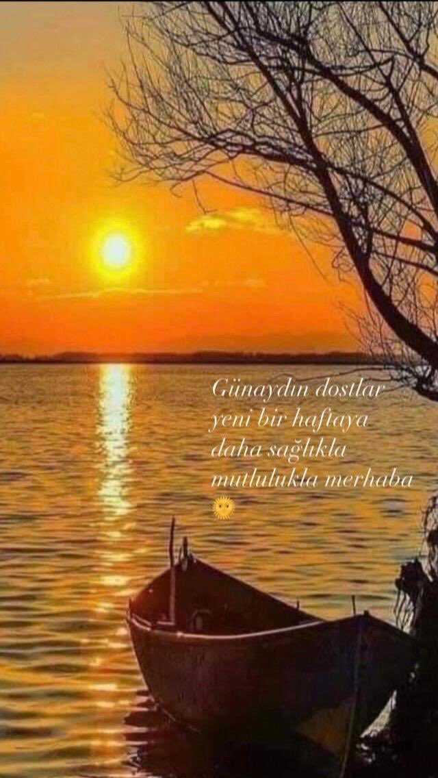 Ali Sevimlisoy (@sevimlisoyali) on Twitter photo 