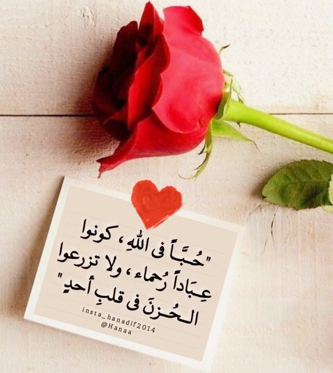 الزين ♡💗 tweet media