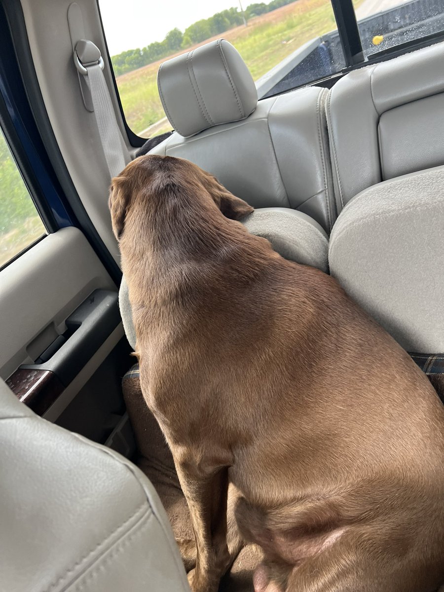 Thomas Randall tweet media