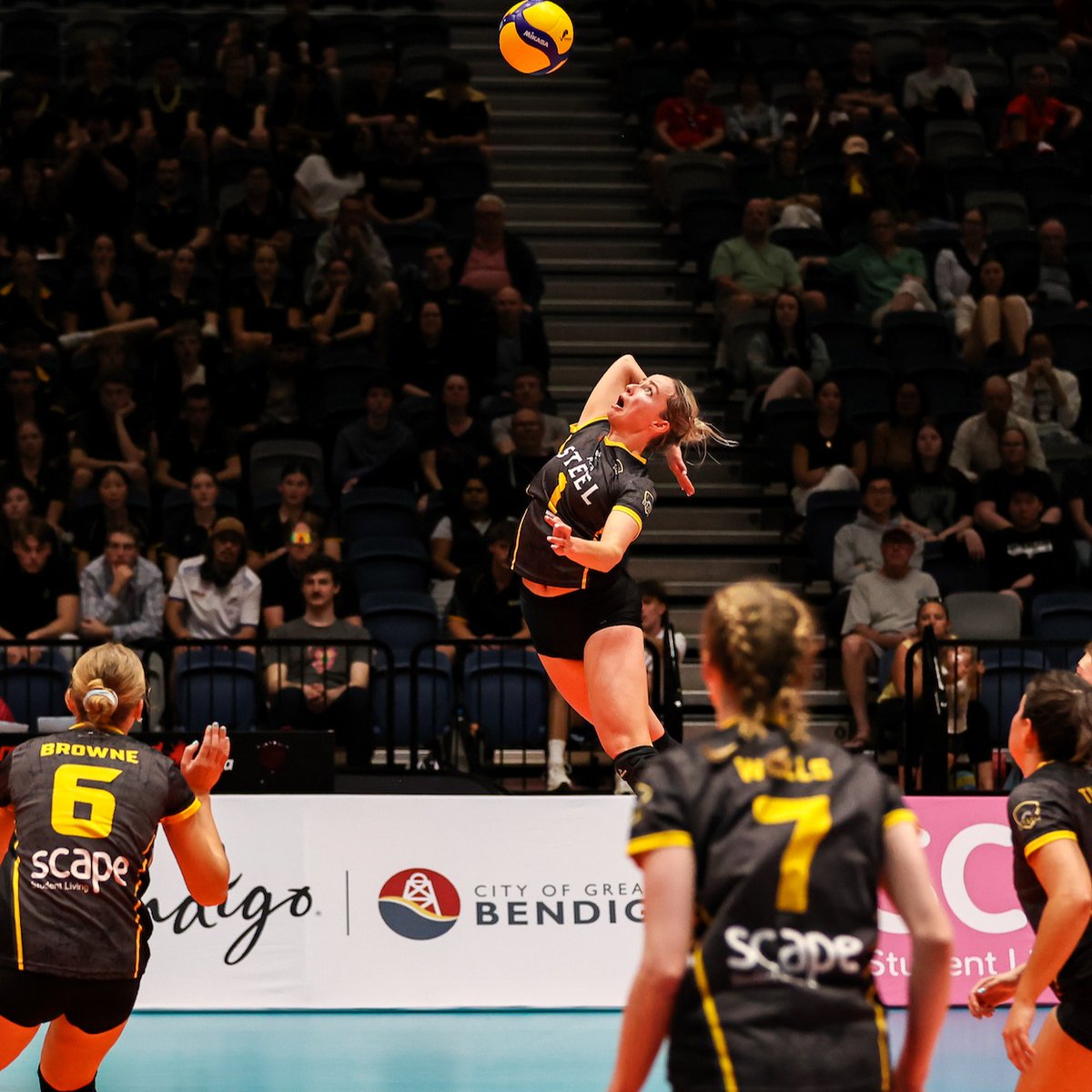 ausvolley's tweet image. 🏆 Congratulations to Perth Steel who were named Champion Club of the 2023 Scape Australian Volleyball Super League.

💪 Huge performances also from Shelby Maher and Jed Walker who were named MVP of Sunday's Finals

#AVSL #Volleyball #IndoorVolleyball #ScapeSuperLeague

@vballwa