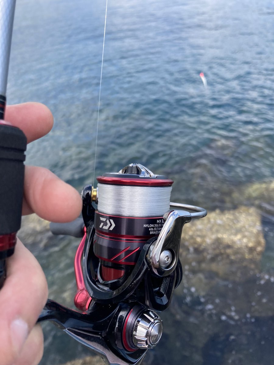 かずやん (@iwZCYA1h2KWhbI7) / Posts / X