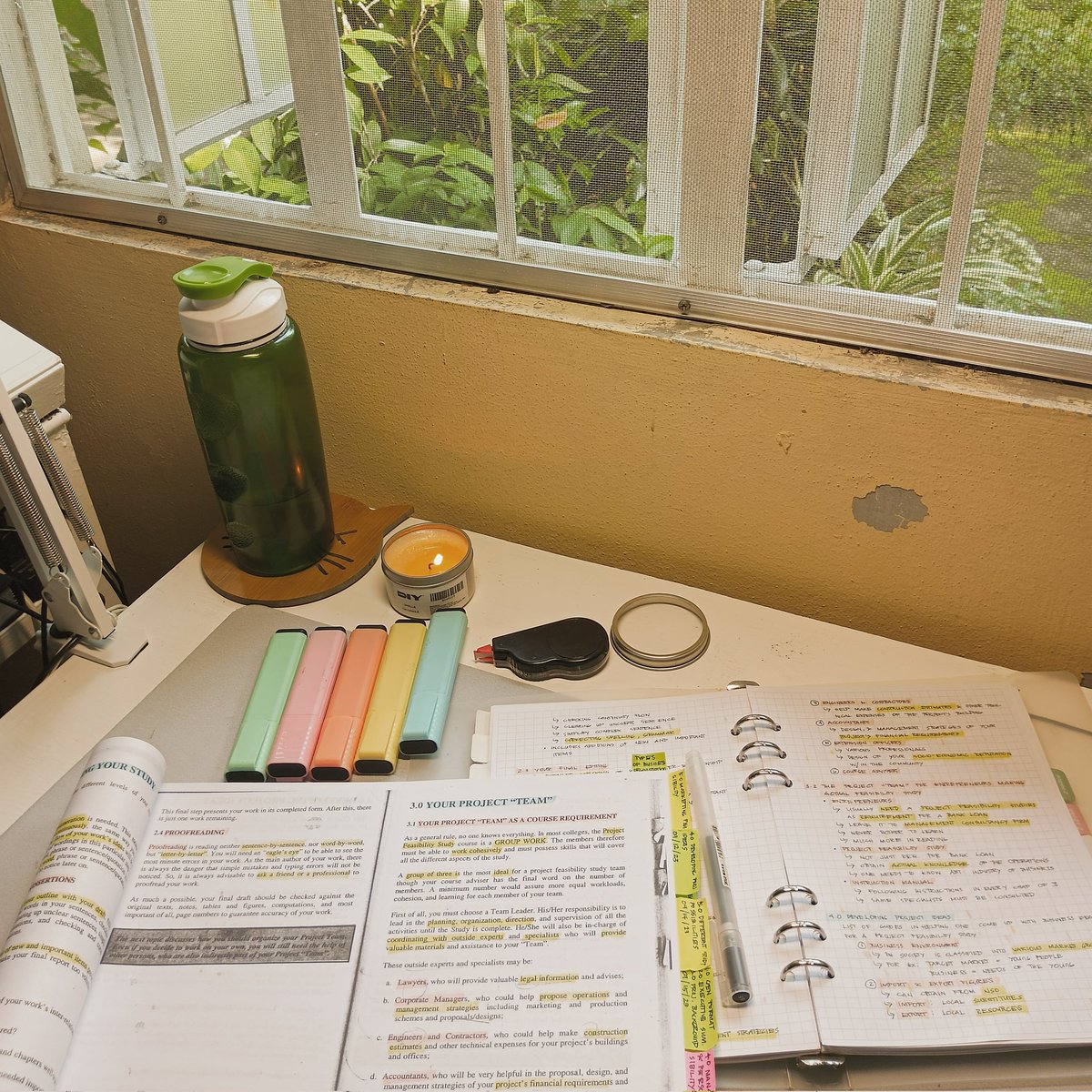 studybyree's tweet image. ―୨୧⋆ ˚ notes for my business architecture class done ✅ #studytwt