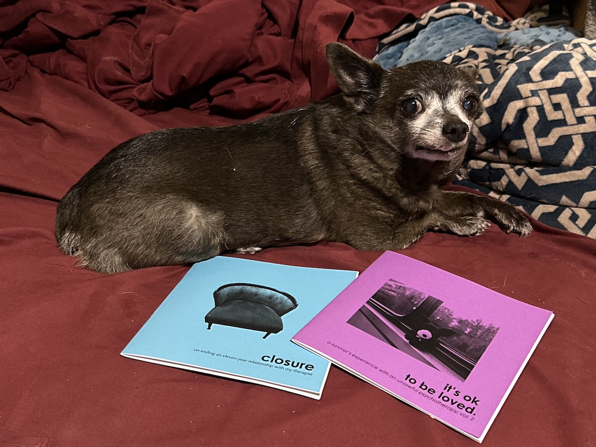 new zine about ending an 11-year relationship with my therapist, written on the 12-hour closure trip from fairbanks to anchorage on the alaska railroad now available, with another zine about the three mdma-assisted therapy sessions received over 7 years. store.eminism.org/mika.html?_a=c…