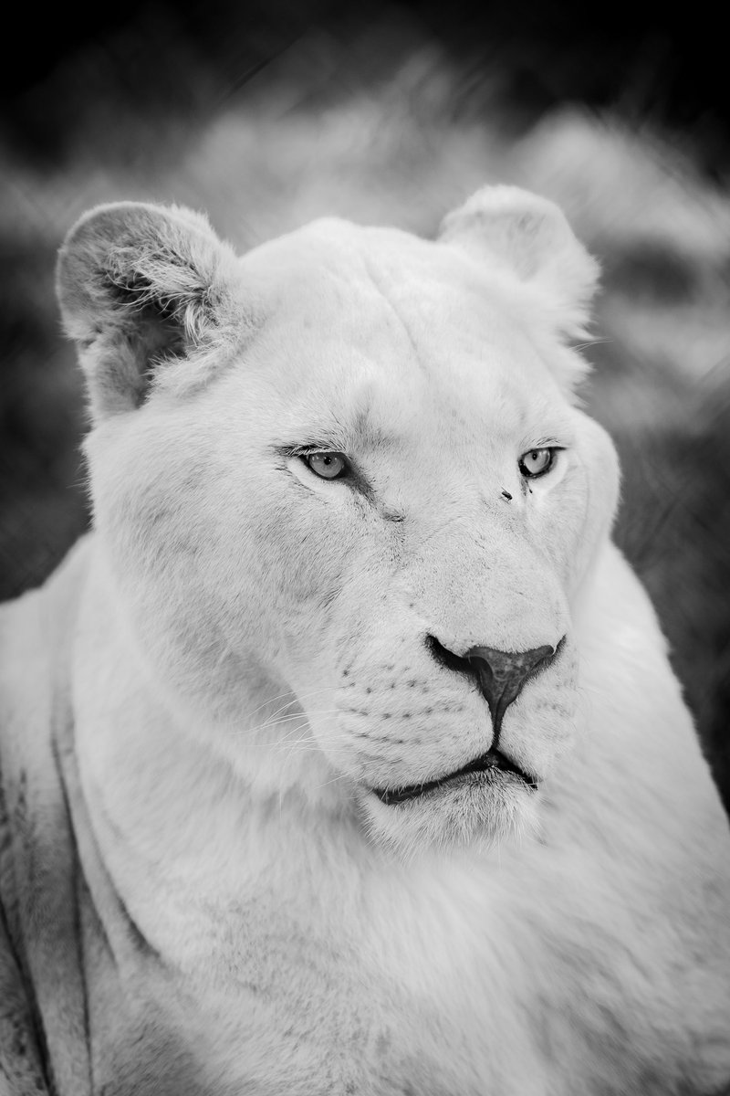 James Gassman II tweet media