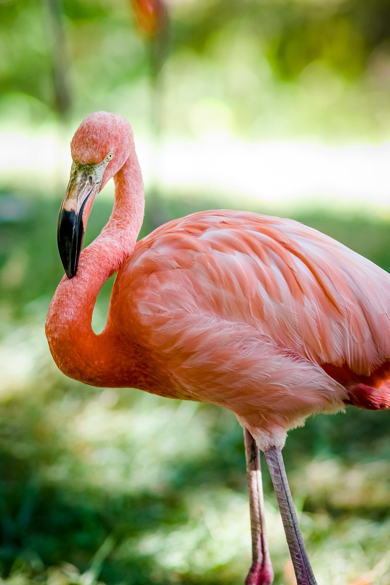 James Gassman II tweet media