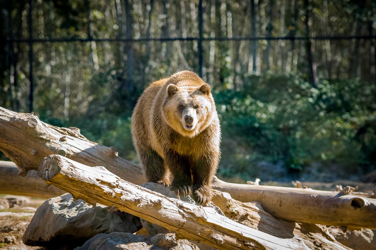 James Gassman II tweet media