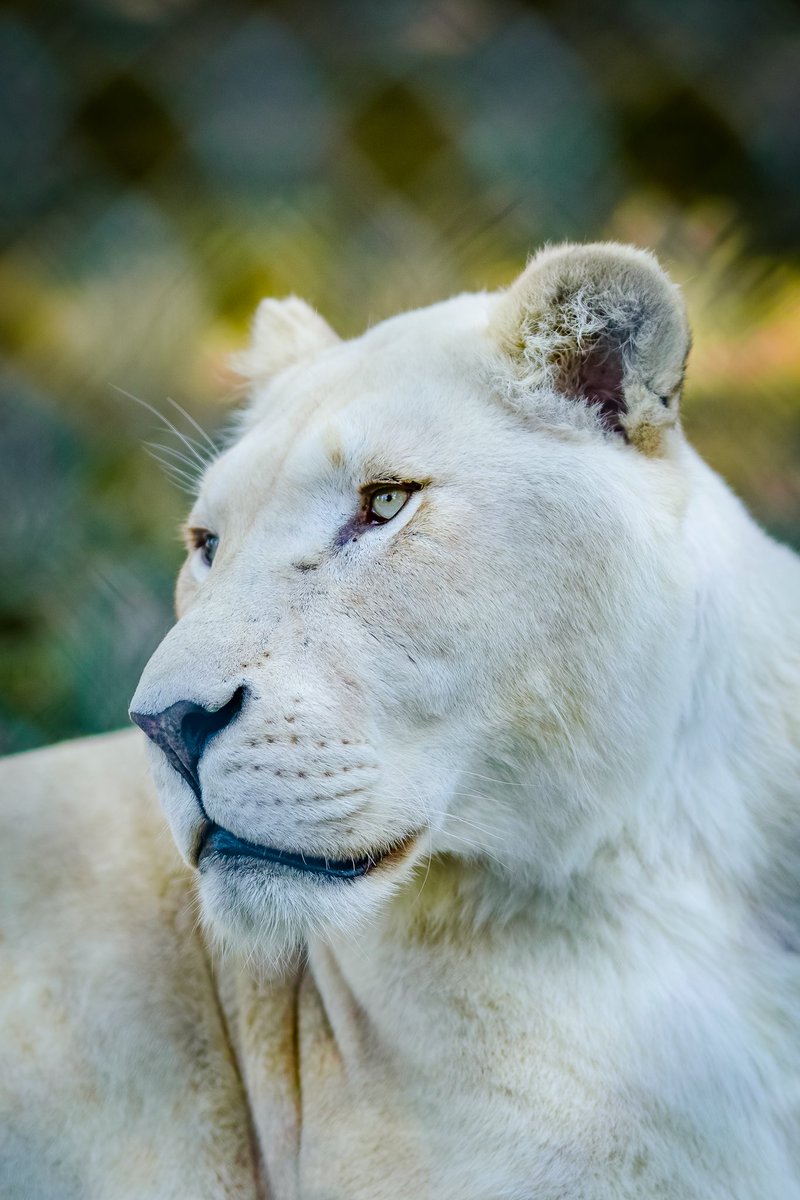 James Gassman II tweet media