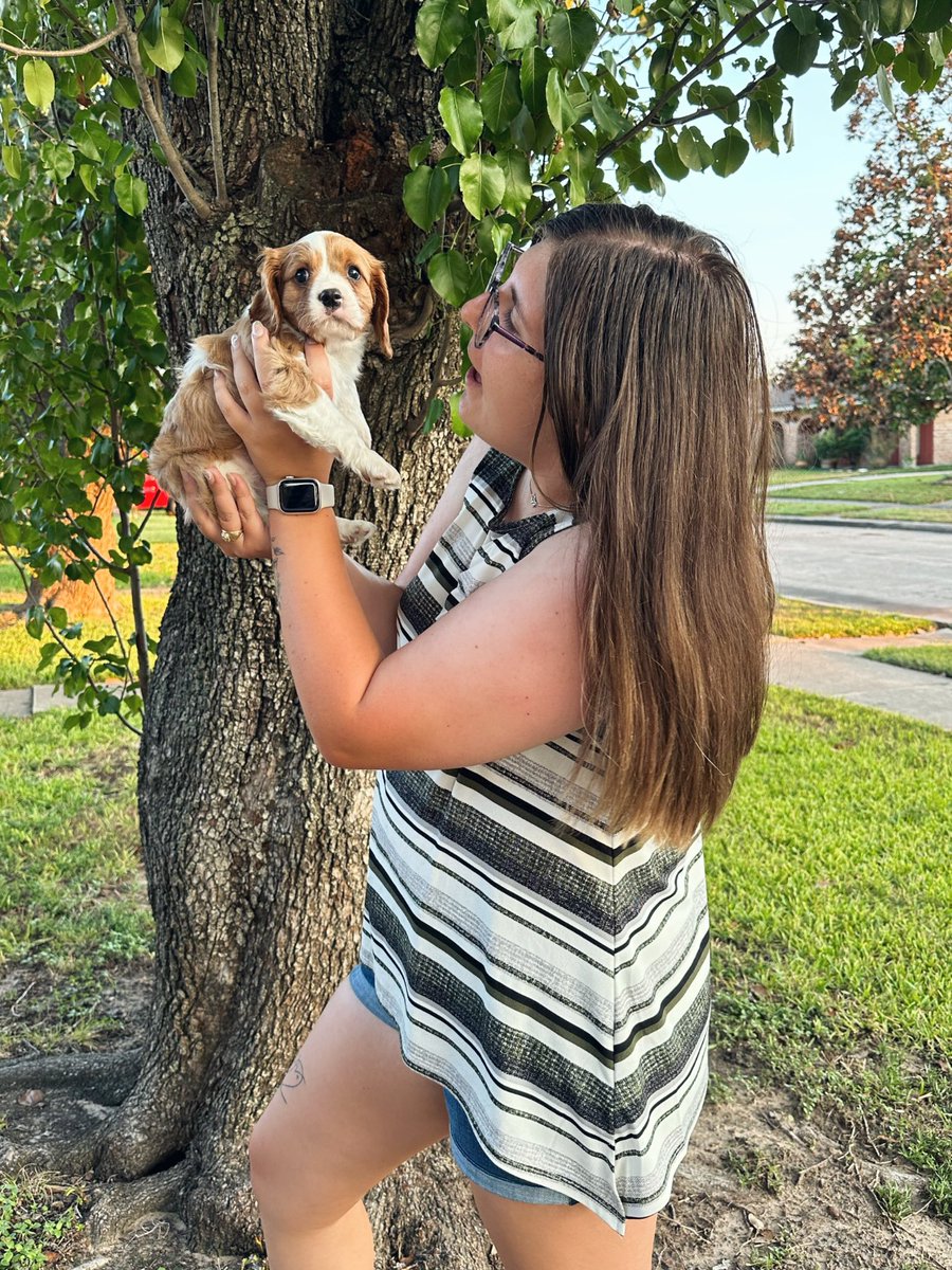 afitzy02's tweet photo. welcome to the family, louie!!! https://t.co/BxWoSDKLx6