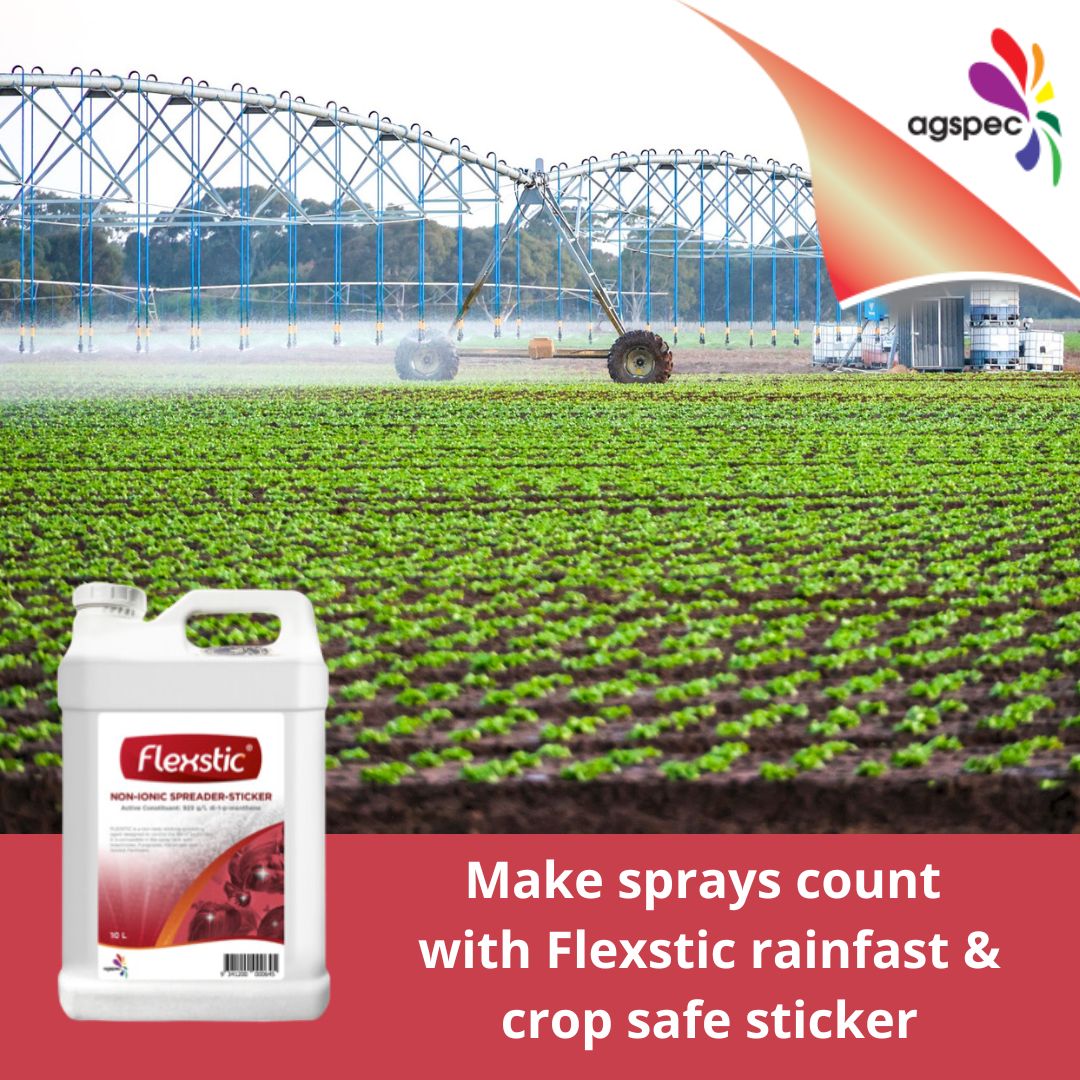 AgspecAus's tweet photo. ☔Make your sprays count with Flexstic® #rainfast #crop safe #adjuvant from #Agspec.
The natural pinene polymer sticker adheres sprays while staying soft on leaves.
Stick your #vegetable spray applications 👉 https://t.co/wUriQvQtmp https://t.co/xCIsxhqmx2
